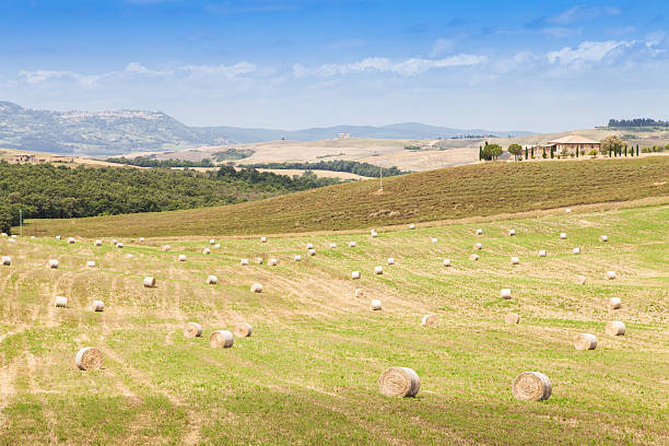 istock Tuscany country 502195391