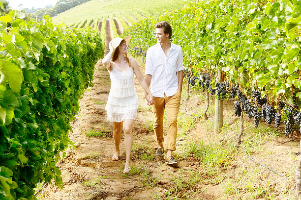 istock Happy couple smile, strolling through vineyard 502196663