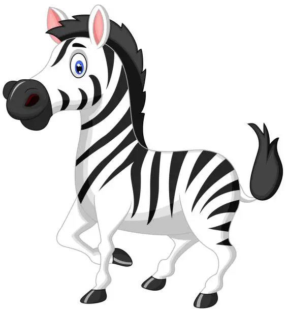 Vector illustration of Zebra cartoon