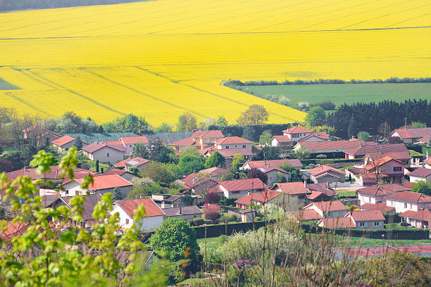 Rural scene of multiple roof view, residential district of a french city, in yellow colza field in spring.