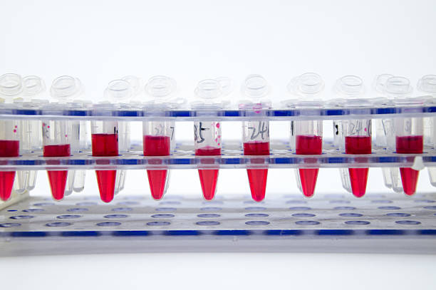 istock Blood collection tube 502199825