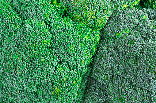 macro texture of broccoli flower