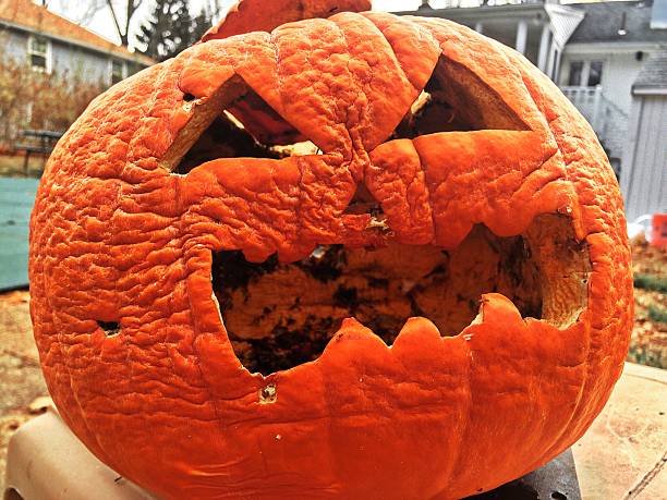istock Halloween jack o lantern pumpkin 502211112