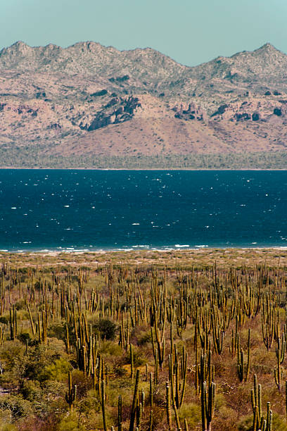 istock Desert, Lake and Mountains, Baja California. 502212224