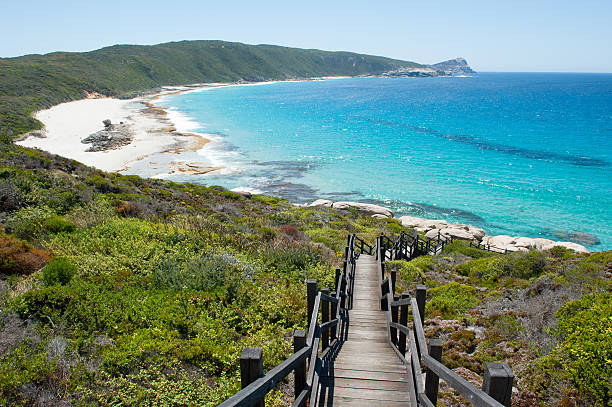 istock Coast Torndirrup National Park Albany Australia 502216266