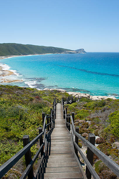 istock Beach Torndirrup National Park Albany Australia 502216322