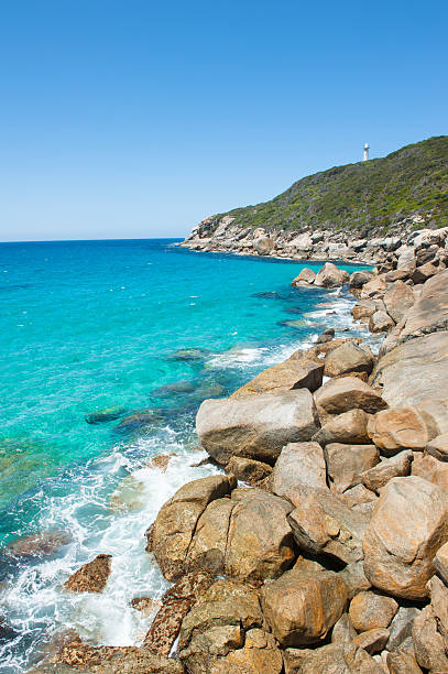 istock Torndirrup National Park Albany Australia 502216382