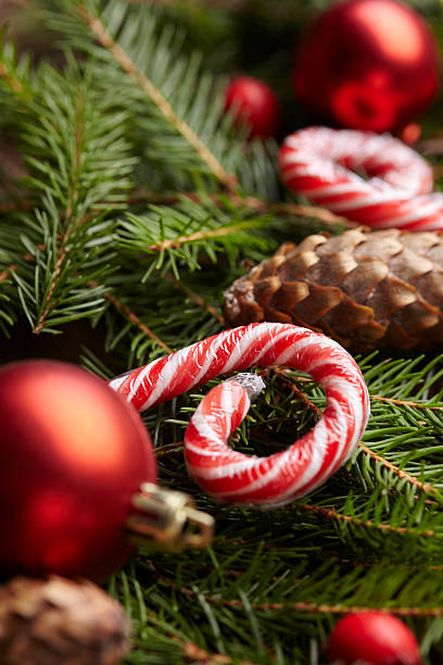 istock Christmas tree branch, candy, cones, balls on the background of 502216914