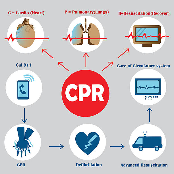 wiederbelebung wiederbelebung - human heart surveillance computer monitor pulse trace stock-grafiken, -clipart, -cartoons und -symbole