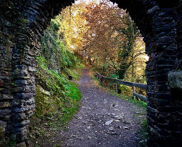 istock Medieval archway - Altenaar Germany 502217472