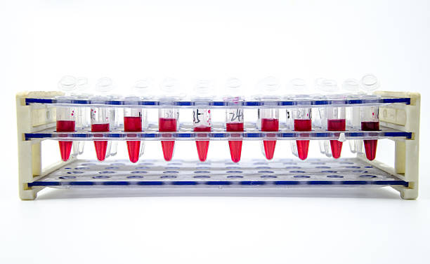 istock Blood collection tube 502218261