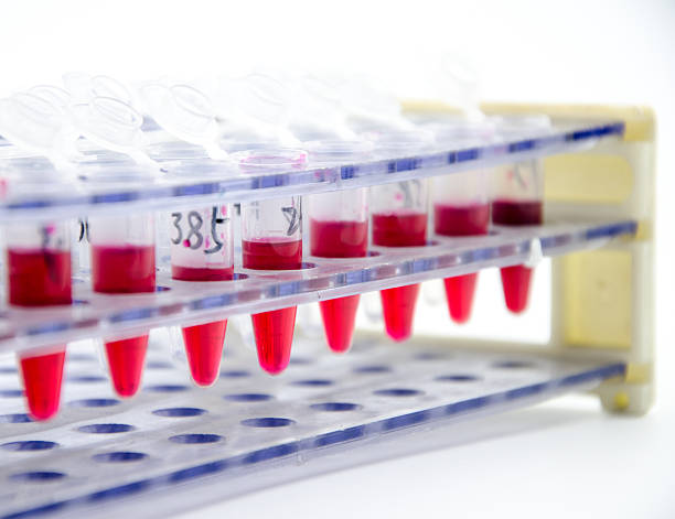 istock Blood collection tube 502218335