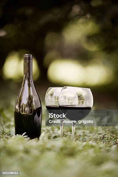 Glasses Of Red Wine Stock Photo - Download Image Now - Alcohol - Drink, Aperitif, Bottle