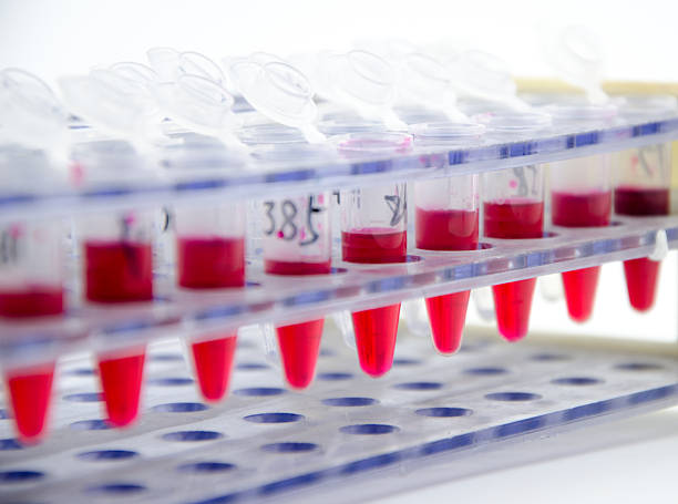 istock Blood collection tube 502218505