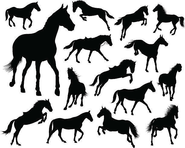 illustrations, cliparts, dessins animés et icônes de ensemble de vecteur de chevaux de bois - hurdling hurdle vector silhouette