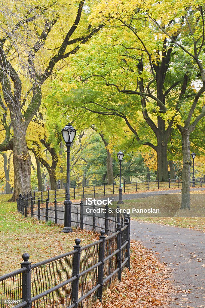 Central Park in autunno-New York - Foto stock royalty-free di Central Park - Manhattan