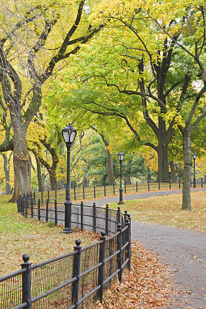 istock Central Park Autumn - New York 502219971