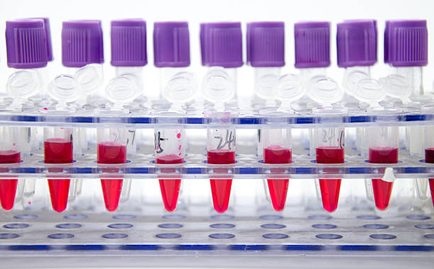 Blood collection tube