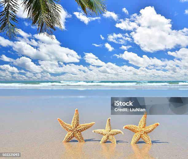Tres Estrella De Mar En La Playa De Arena Foto de stock y más banco de imágenes de Agua - Agua, Aire libre, Amarillo - Color