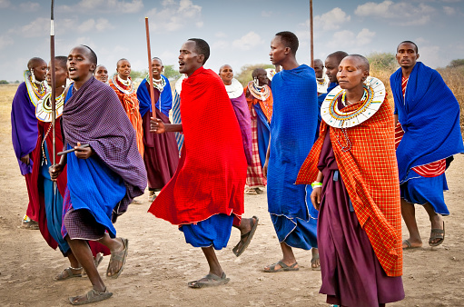 Tanzania, Africa - February 9, 2014: Masai warriors dancing traditional jumps as cultural ceremony, review of daily life of local people on February 9, 2014. Tanzania.