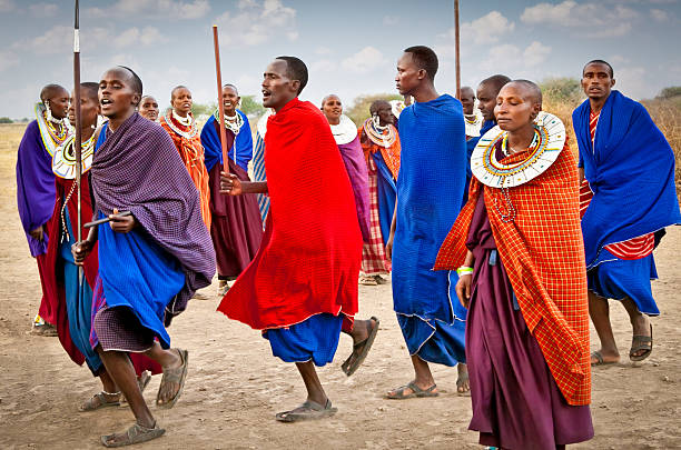 Masai warriors dancing traditional jumps as cultural ceremony, Tanzania. Tanzania, Africa - February 9, 2014: Masai warriors dancing traditional jumps as cultural ceremony, review of daily life of local people on February 9, 2014. Tanzania. masai stock pictures, royalty-free photos & images