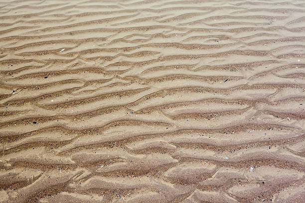 istock the colorful sea sand 502221330