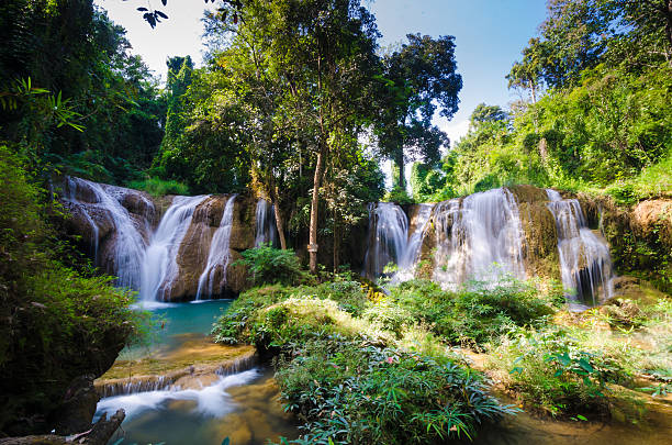 최소보다 sawan 딥 임산 시 경계에서 나콘씨탐마랏 태국발 - waterfall erawan tropical rainforest tree 뉴스 사진 이미지