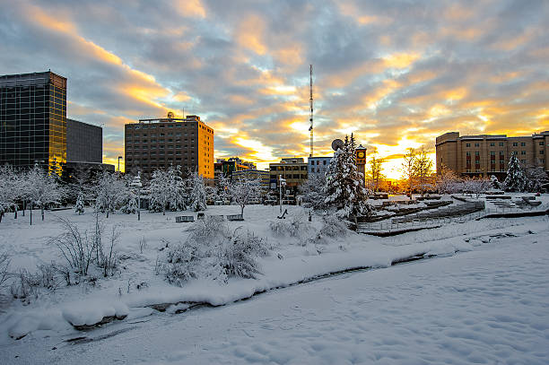 First day of winter Fairbanks, AK. USA.-Dec. 21,2015: The sun at its highest point on the official first day of winter in Fairbanks Alaska at 1:49 pm, with 3 hours 41 minutes of daylight it is the shortest day of the year.  fairbanks photos stock pictures, royalty-free photos & images