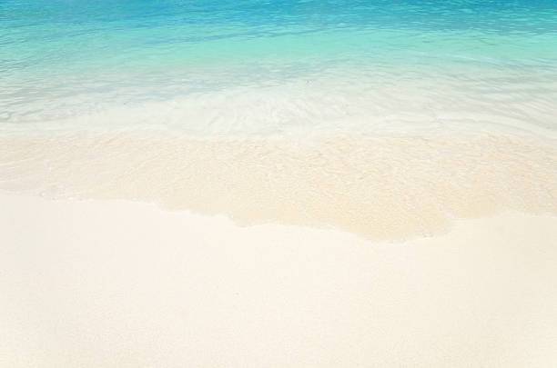 istock Sea waves and sandy beach 502222439