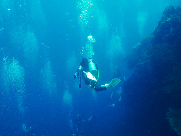 istock Scuba diver with coral 502223890