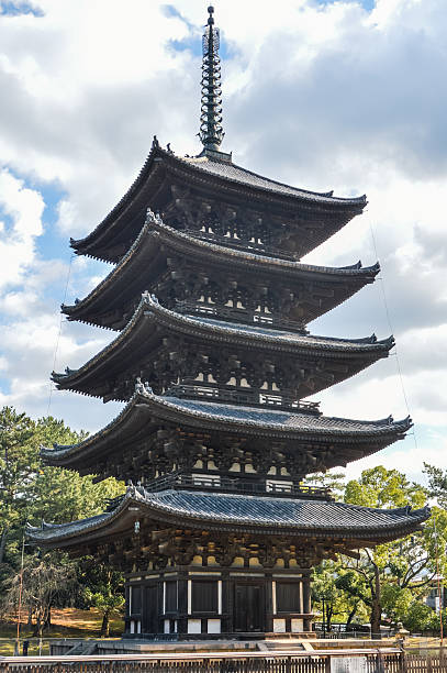 kofukuji temple five-storied padoda - nara, japan - 興福寺 奈良 個照片及圖片檔