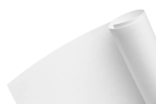 istock Roll of blank paper 502224929