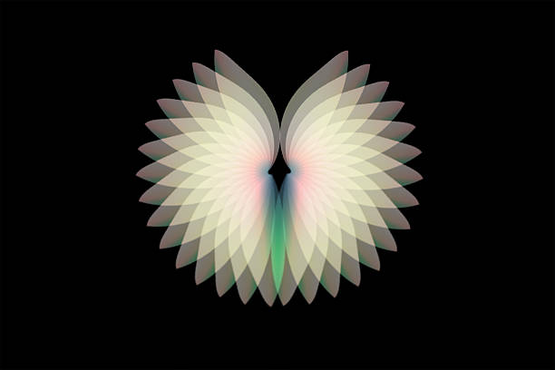 The design of the fan in front of the black background