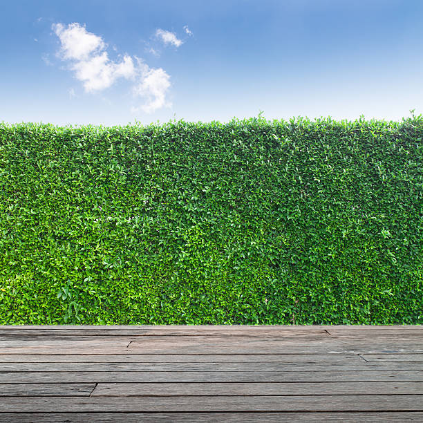 istock Wood board in grass field and  sky 502225146