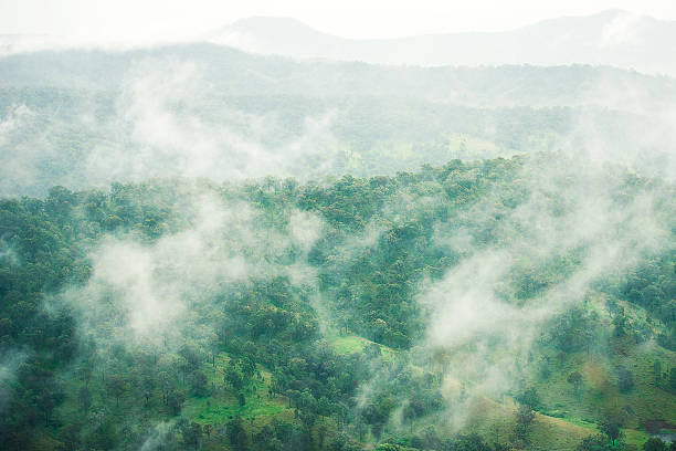 istock Trees and mountains in Queensland 502226208