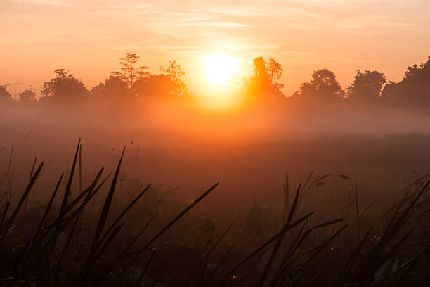 istock Sunrise and fog 502226900