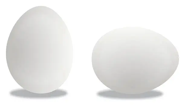 Vector illustration of Two Eggs