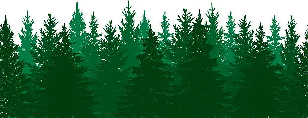 Vector illustration of Seamless Pine Tree Forest Background