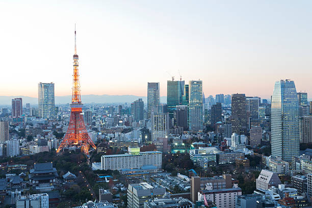 istock Tokyo Skyline at Dusk 502246430