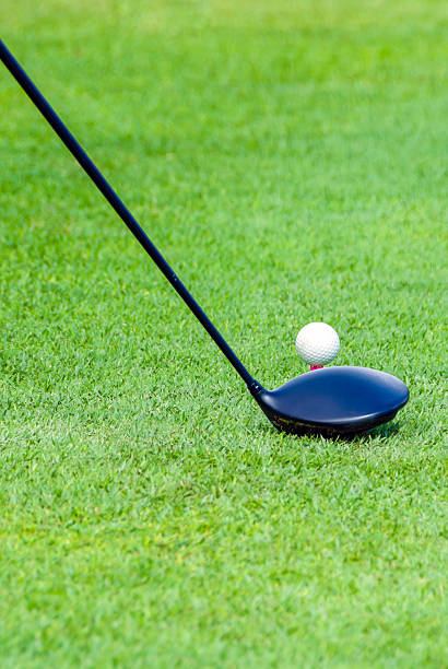 istock Golf equipment, golf ball with tee on course and stick 502246464