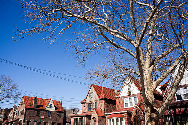 istock Leafless Oak Tree. Two-story Homes. Real Estate. Spanish style. 502247886