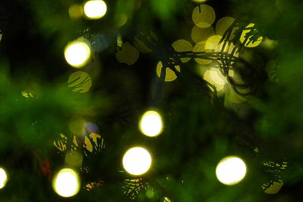 istock bokeh of christmas tree for holiday background 502248318