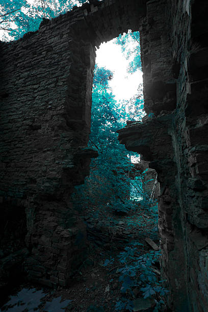 istock ruins of an old house 502248768