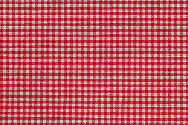 istock Photo of fabric with checked red Gingham pattern 502248934