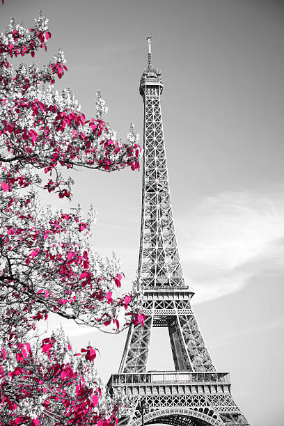 istock infrared photography Eiffel Tower 502248940