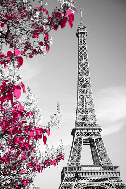 istock infrared photography Eiffel Tower 502248966