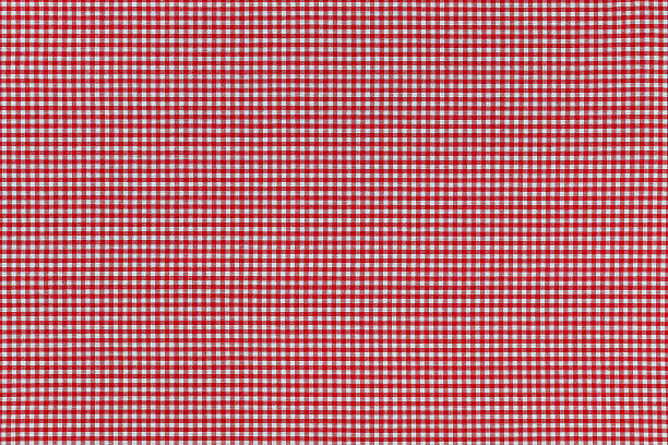 istock Photo of fabric with checked red Gingham pattern 502249164
