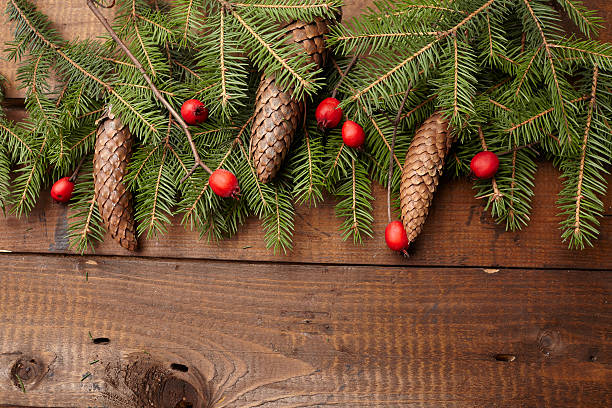 istock Christmas tree branch, hawthorn, pine cones 502251816