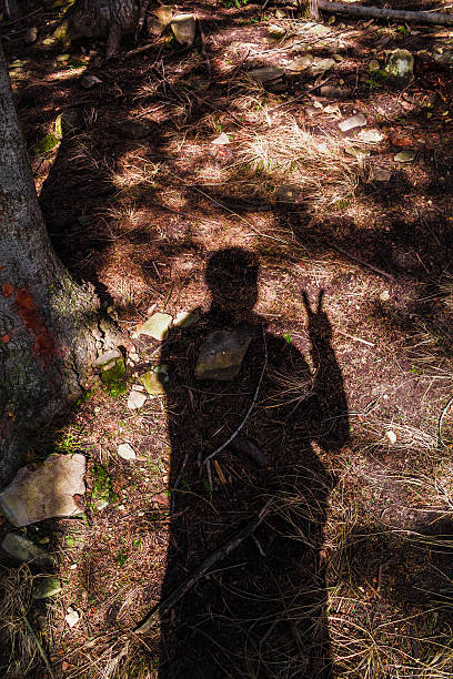istock Shadow of photographer taking pictures 502252202