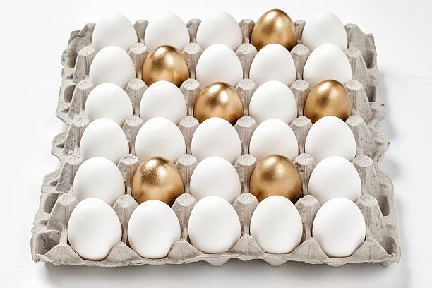 istock golden egg concept among white eggs in carton pack 502254326